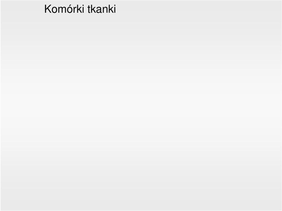 podstawową oraz włókna kolagenowe, elastyczne, siateczkowe).