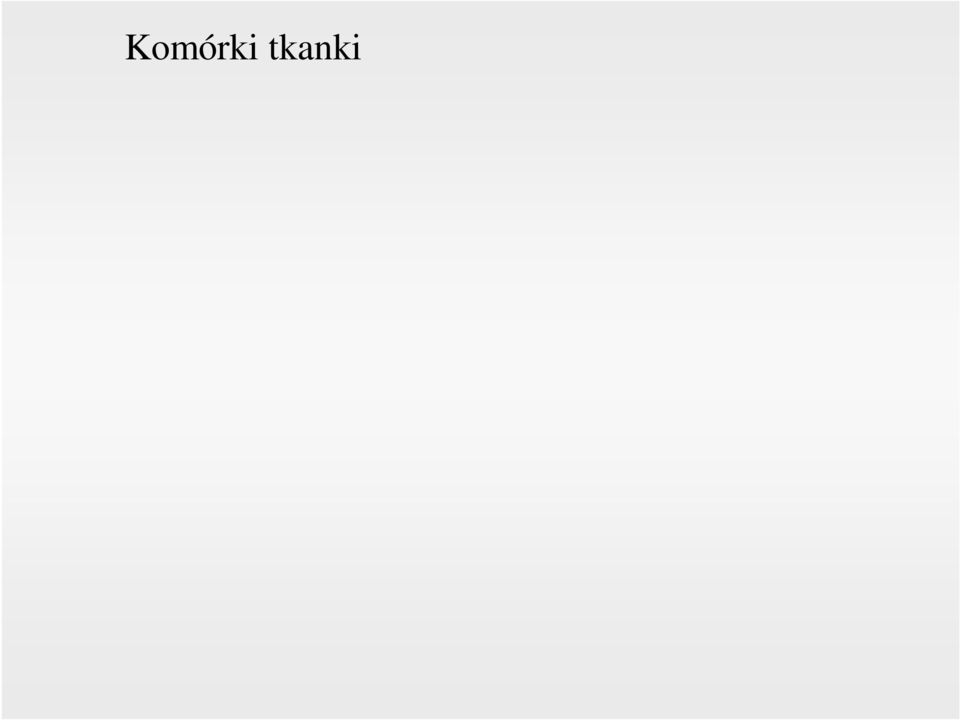 Komórki przydanki, Pericyty Wrzecionowate komórki o cechach zbliżonych do komórek śródbłonka i komórek mięśni gładkich. Leżą wzdłuż naczyń krwionośnych.