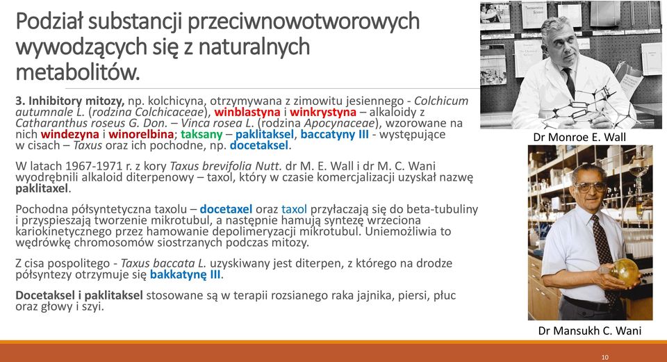 (rodzina Apocynaceae), wzorowane na nich windezyna i winorelbina; taksany paklitaksel, baccatyny III - występujące w cisach Taxus oraz ich pochodne, np. docetaksel. W latach 1967-1971 r.