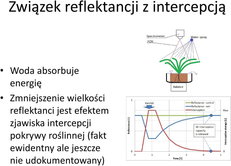 reflektanci jest efektem zjawiska intercepcji