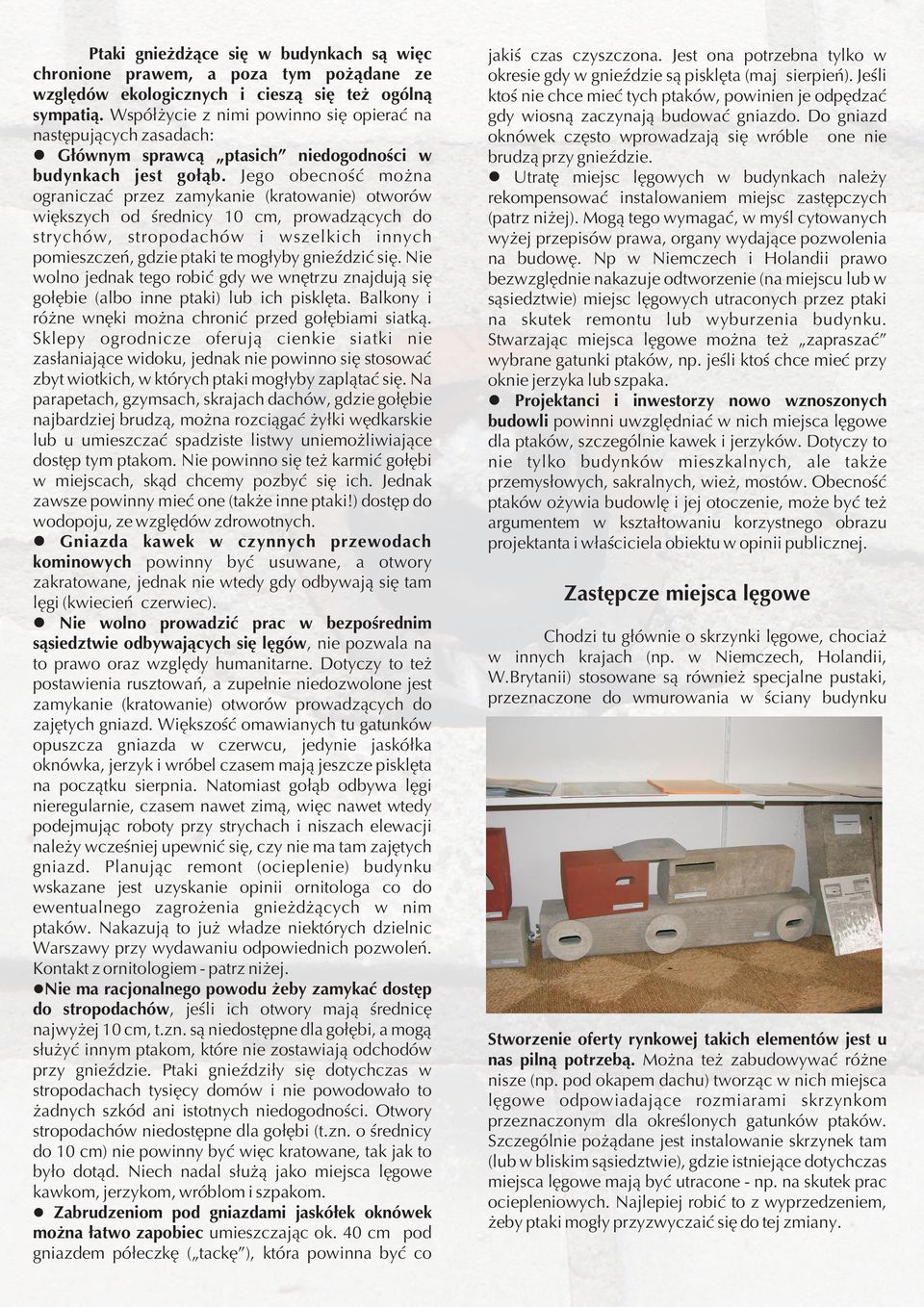 Jego obecnoœæ mo na ograniczaæ przez zamykanie (kratowanie) otworów wiêkszych od œrednicy 10 cm, prowadz¹cych do strychów, stropodachów i wszelkich innych pomieszczeñ, gdzie ptaki te mog³yby