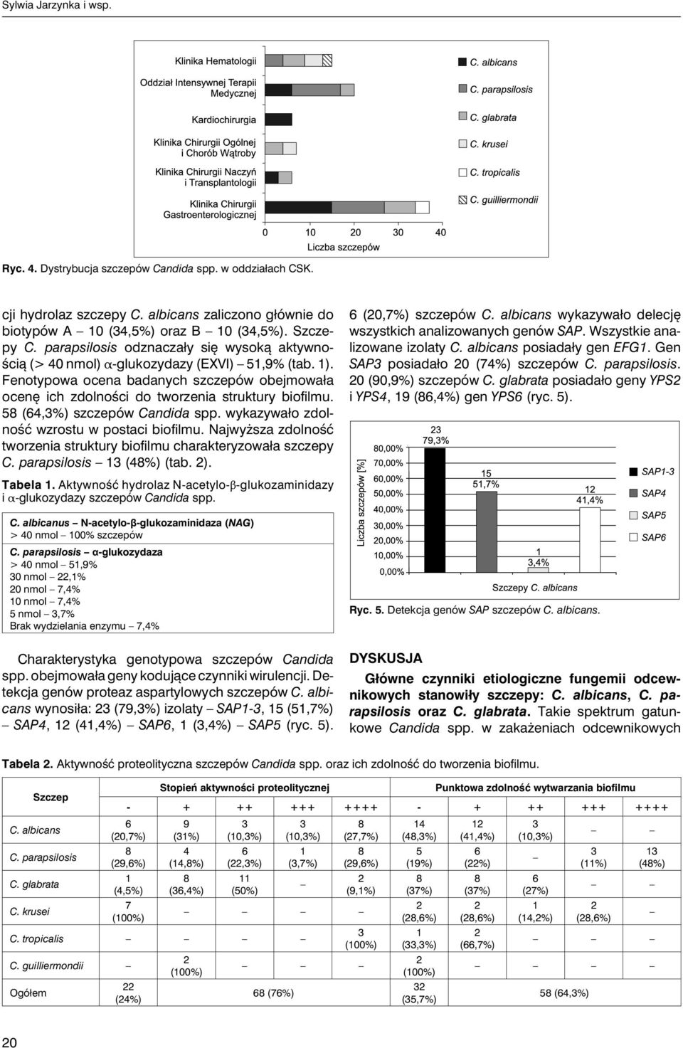5 (4,%) szczepów Candida spp. wykazywało zdolność wzrostu w postaci biofilmu. Najwyższa zdolność tworzenia struktury biofilmu charakteryzowała szczepy C. parapsilosis (4%) (tab. ). (0,7%) szczepów C.