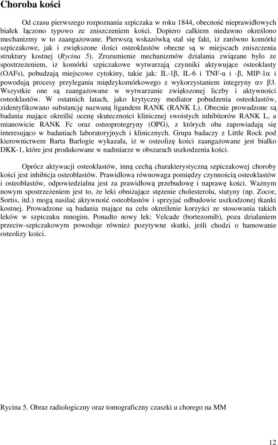 Pierwszą wskazówką stał się fakt, iż zarówno komórki szpiczakowe, jak i zwiększone ilości osteoklastów obecne są w miejscach zniszczenia struktury kostnej (Rycina 5).