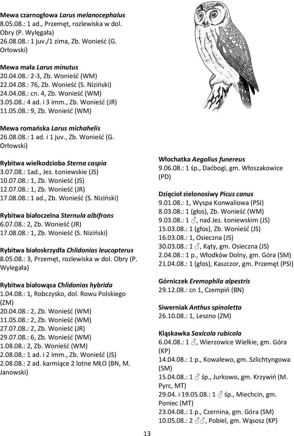 i 1 juv., Zb. Wonieść (G. Orłowski) Rybitwa wielkodzioba Sterna caspia 3.07.08.: 1ad., Jez. Łoniewskie (JS) 10.07.08.: 1, Zb. Wonieść (JS) 12.07.08.: 1, Zb. Wonieść (JR) 17.08.08.: 1 ad., Zb. Wonieść (S.