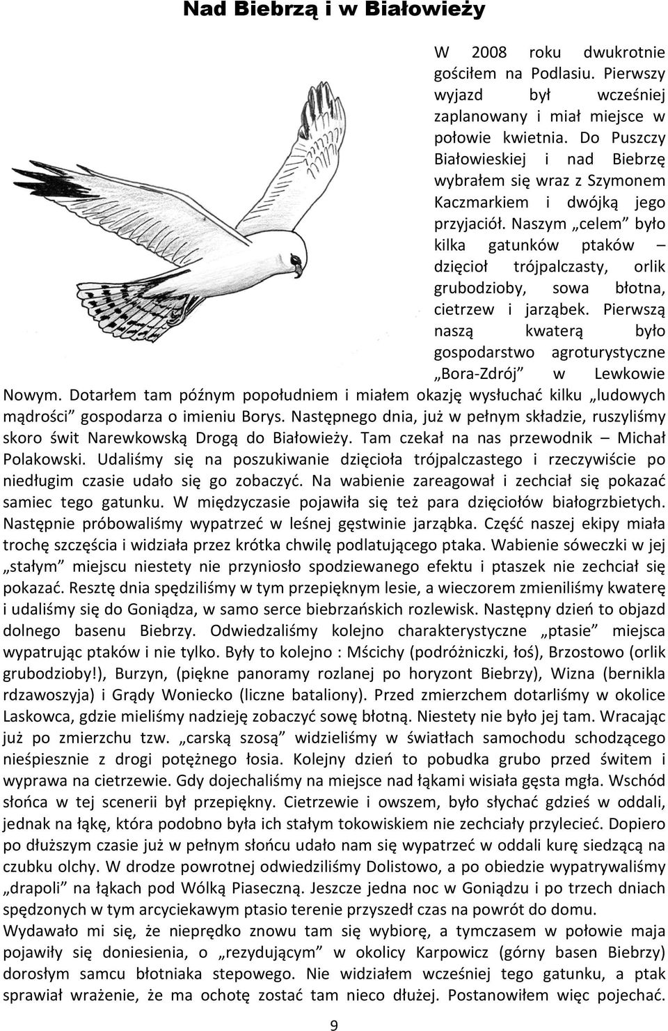 Naszym celem było kilka gatunków ptaków dzięcioł trójpalczasty, orlik grubodzioby, sowa błotna, cietrzew i jarząbek.