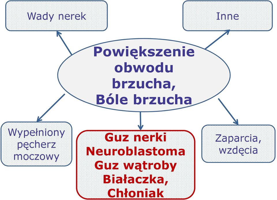 pęcherz moczowy Guz nerki Neuroblastoma