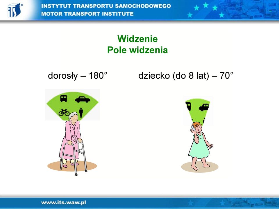 dorosły 180