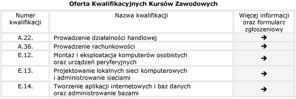 E.14. Montaż i eksploatacja komputerów osobistych oraz urządzeń peryferyjnych Projektowanie lokalnych sieci