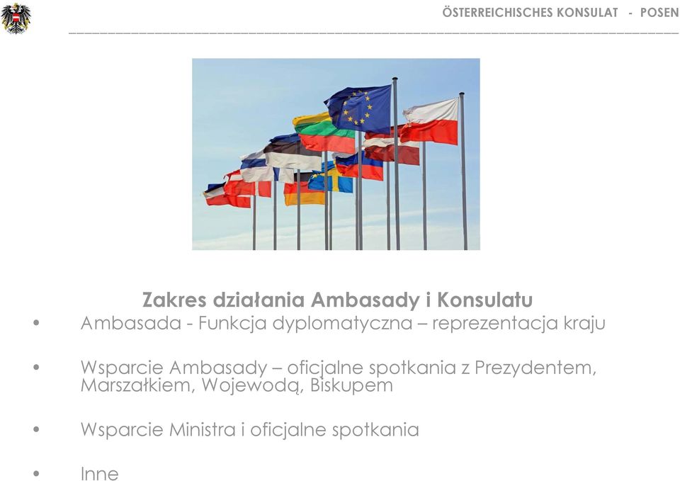 Ambasady oficjalne spotkania z Prezydentem,