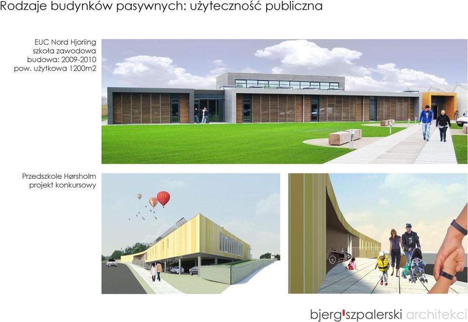 zawodowa budowa: 2009-2010 pow.
