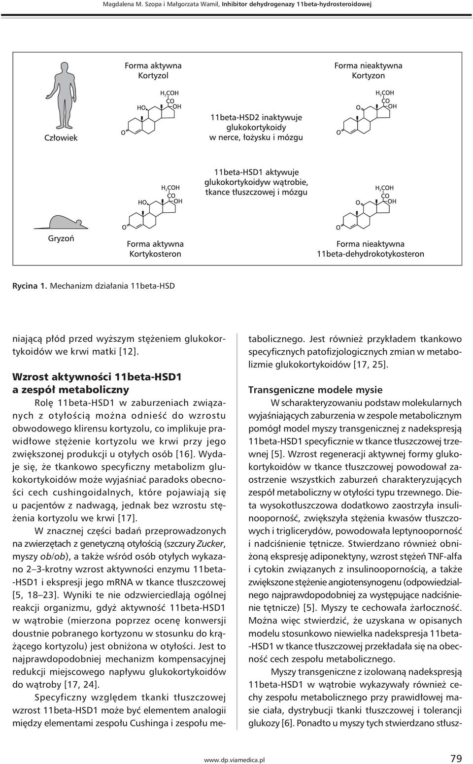 Wzrost aktywności 11beta-HSD1 a zespół metaboliczny Rolę 11beta-HSD1 w zaburzeniach związanych z otyłością można odnieść do wzrostu obwodowego klirensu kortyzolu, co implikuje prawidłowe stężenie