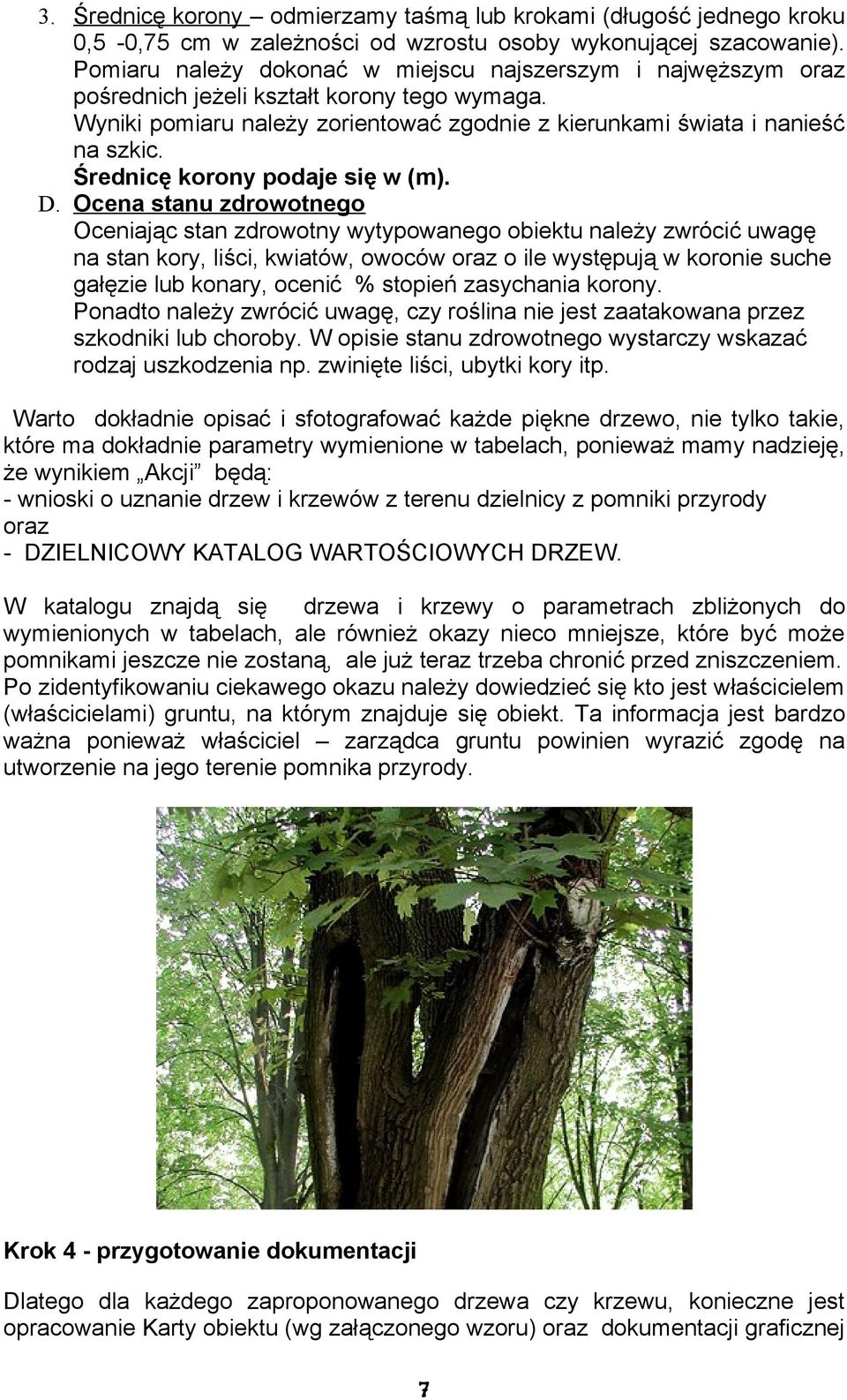 Średnicę korony podaje się w (m). D.