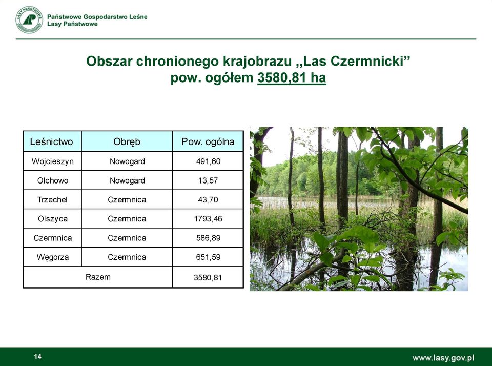 ogólna Wojcieszyn Nowogard 491,60 Olchowo Nowogard 13,57 Trzechel