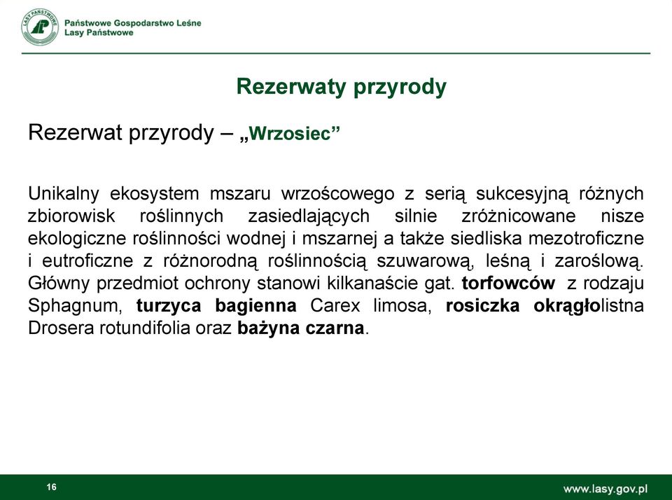 mezotroficzne i eutroficzne z różnorodną roślinnością szuwarową, leśną i zaroślową.