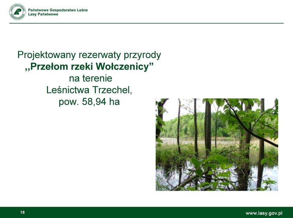 Wołczenicy na terenie