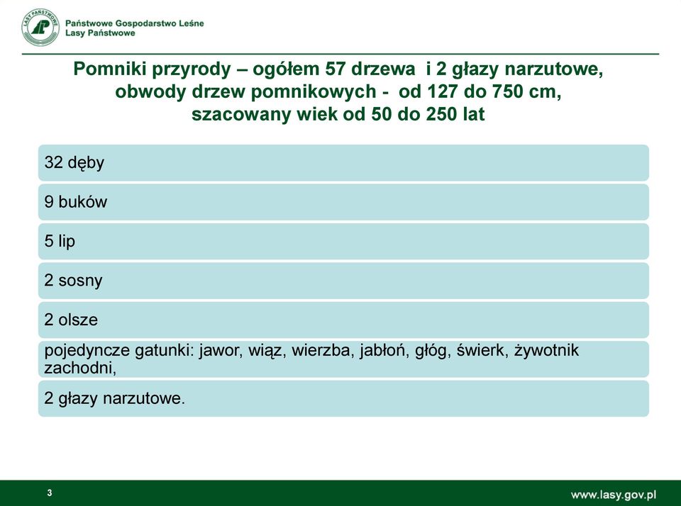 dęby 9 buków 5 lip 2 sosny 2 olsze pojedyncze gatunki: jawor, wiąz,