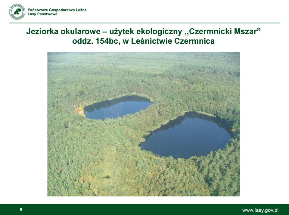 ekologiczny,,czermnicki
