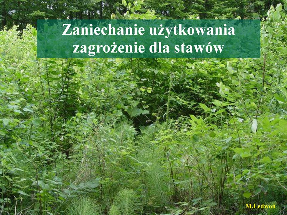 zagrożenie