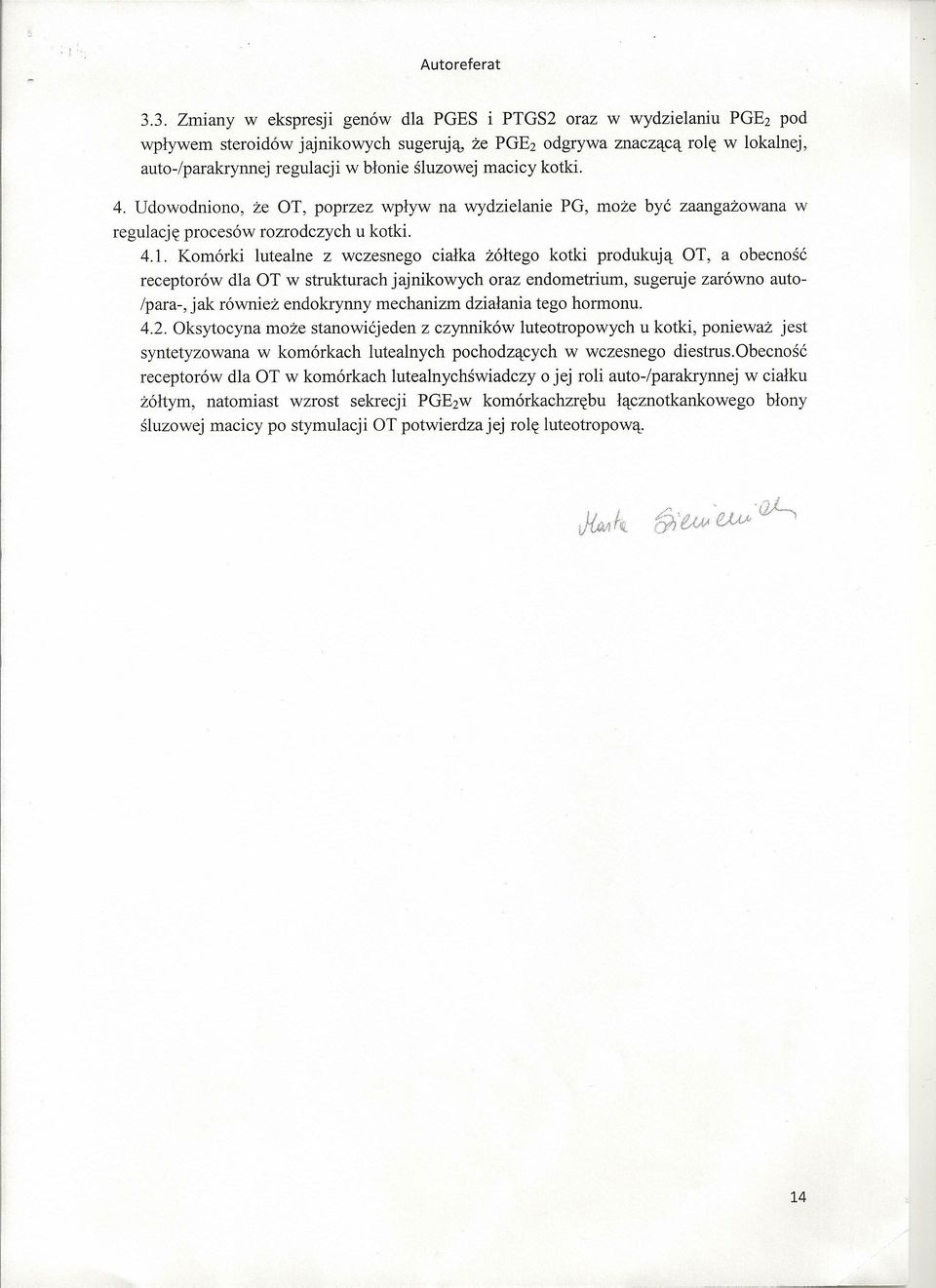 Komórki lutealne z wczesnego ciałka żółtego kotki produkują OT, a obecność receptorów dla OT w strukturach jajnikowych oraz endometrium, sugeruje zarówno auto- /para-, jak również endokrynny