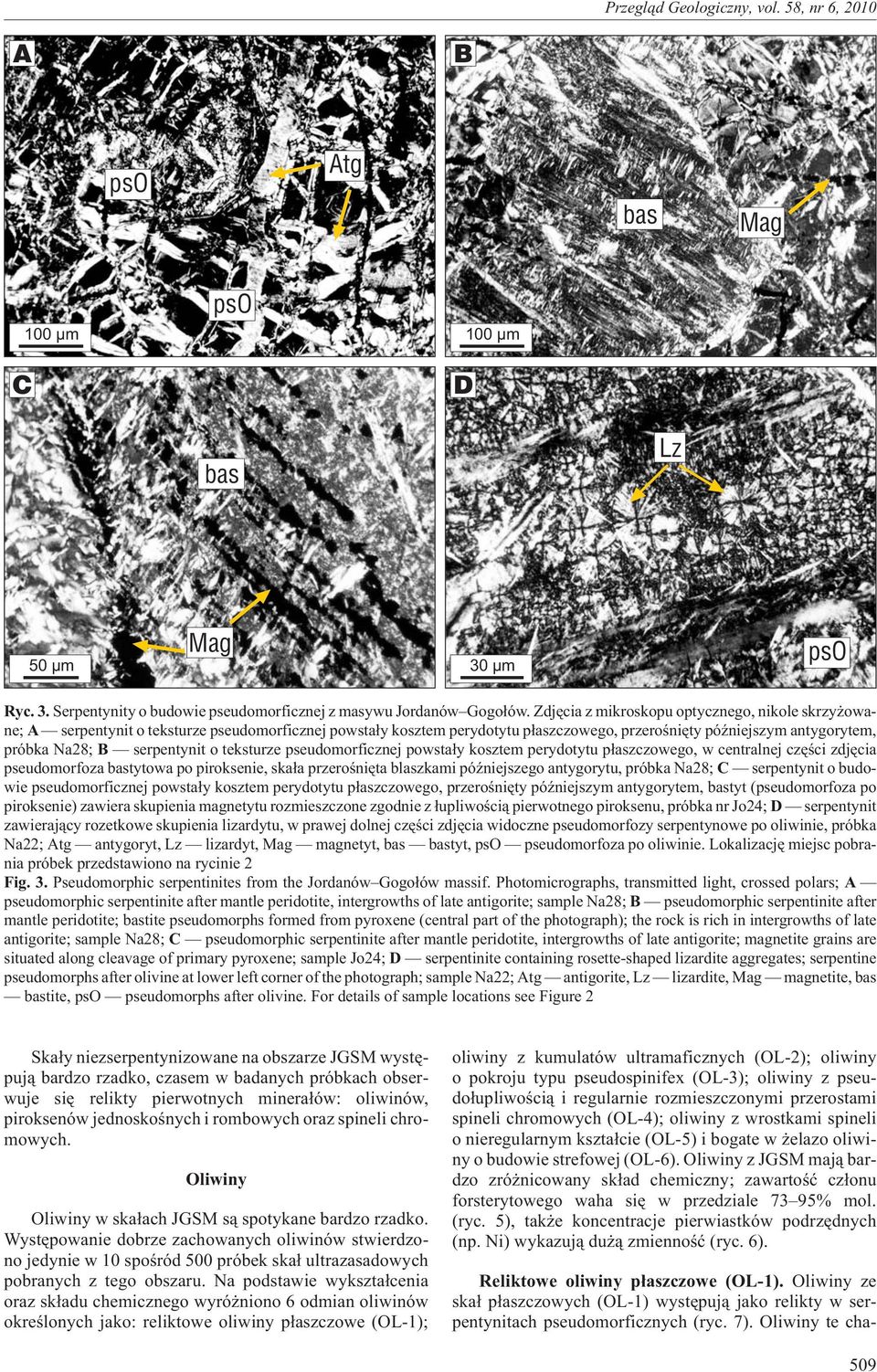 serpentynit o teksturze pseudomorficznej powsta³y kosztem perydotytu p³aszczowego, w centralnej czêœci zdjêcia pseudomorfoza bastytowa po piroksenie, ska³a przeroœniêta blaszkami póÿniejszego
