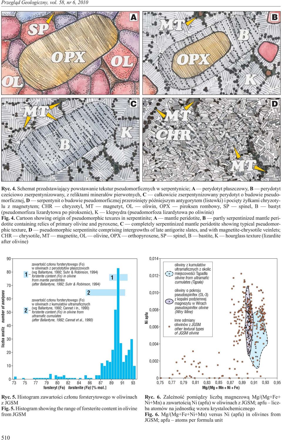 zserpentynizowany perydotyt o budowie pseudomorficznej, D serpentynit o budowie pseudomorficznej przeroœniêty póÿniejszym antygorytem (listewki) i pociêty y³kami chryzotylu z magnetytem; CHR