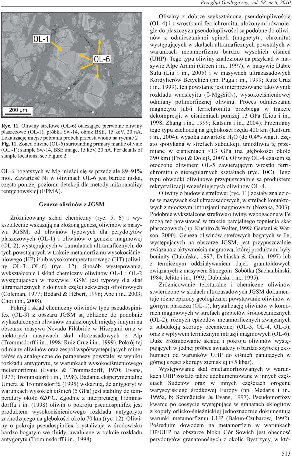 For details of sample locations, see Figure 2 OL-6 bogatszych w Mg mieœci siê w przedziale 89 91% mol.