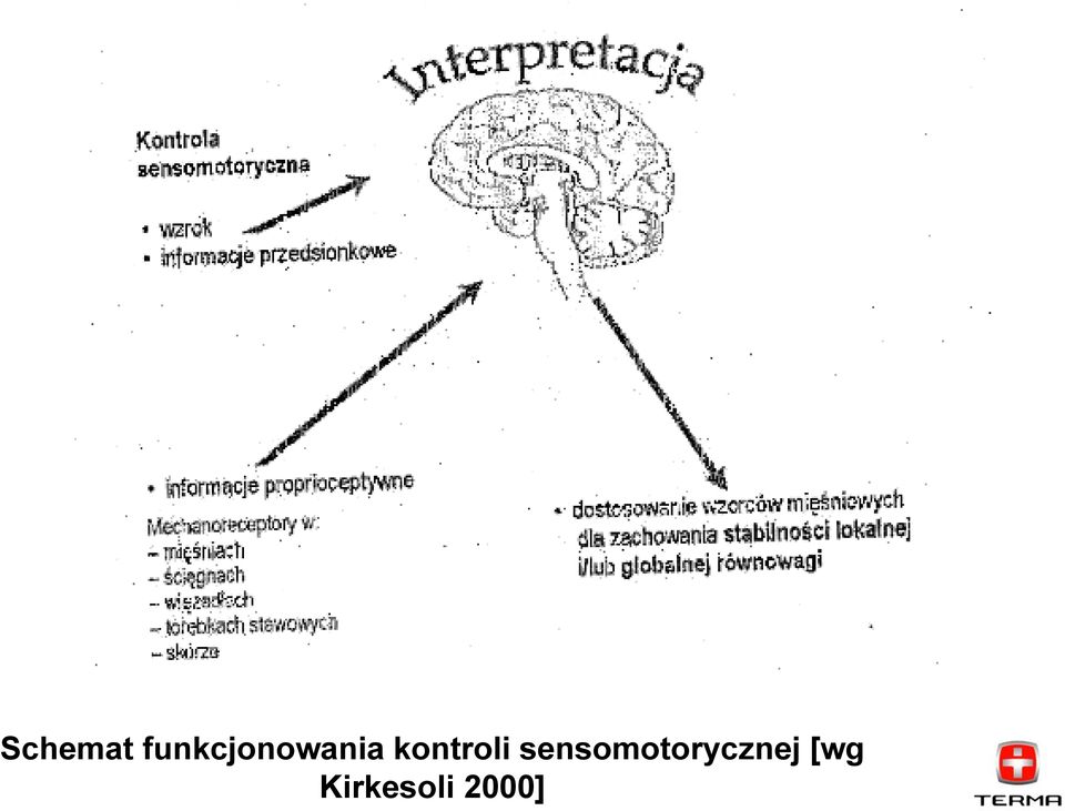 kontroli