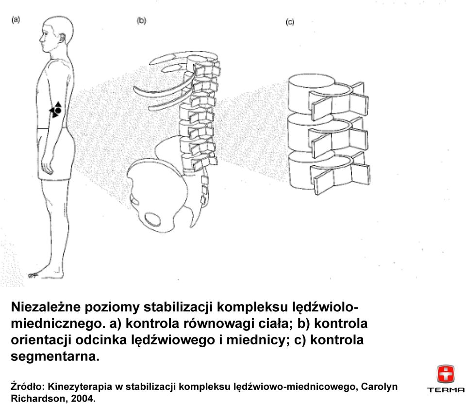 lędźwiowego i miednicy; c) kontrola segmentarna.