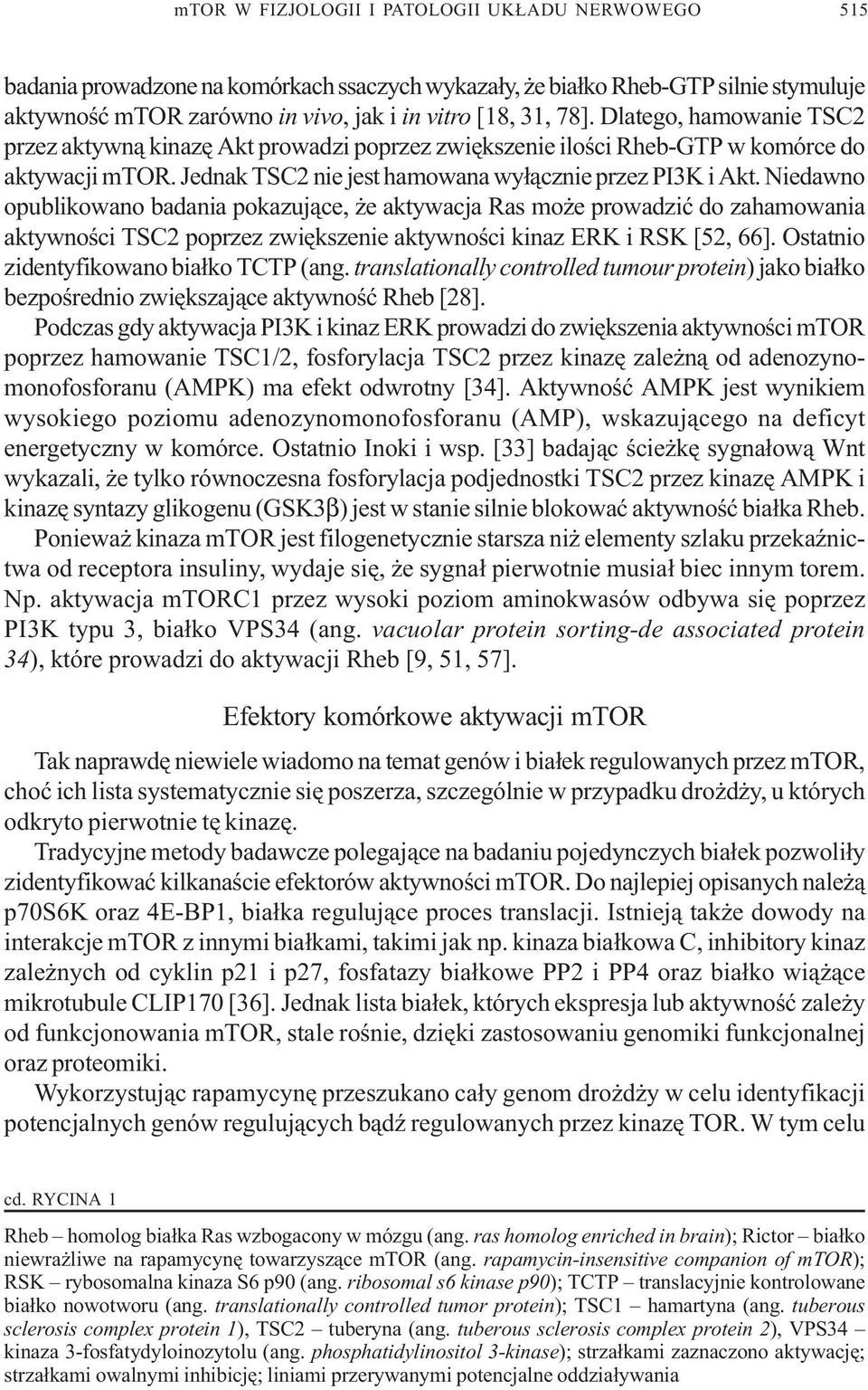 Niedawno opublikowano badania pokazuj¹ce, e aktywacja Ras mo e prowadziæ do zahamowania aktywnoœci TSC2 poprzez zwiêkszenie aktywnoœci kinaz ERK i RSK [52, 66].