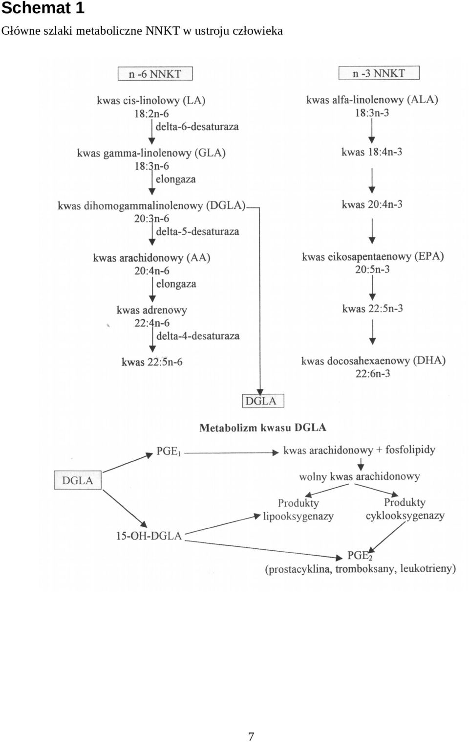 metaboliczne
