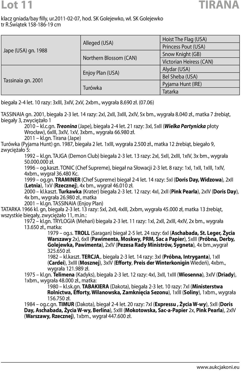 06) Hoist The Flag (USA) Princess Pout (USA) Snow Knight (GB) Victorian Heiress (CAN) Alydar (USA) Bel Sheba (USA) Pyjama Hunt (IRE) Tatarka TASSINAIA gn. 2001, biegała 2-3 let.