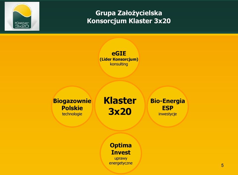 Polskie technologie Klaster 3x20 Bio-Energia