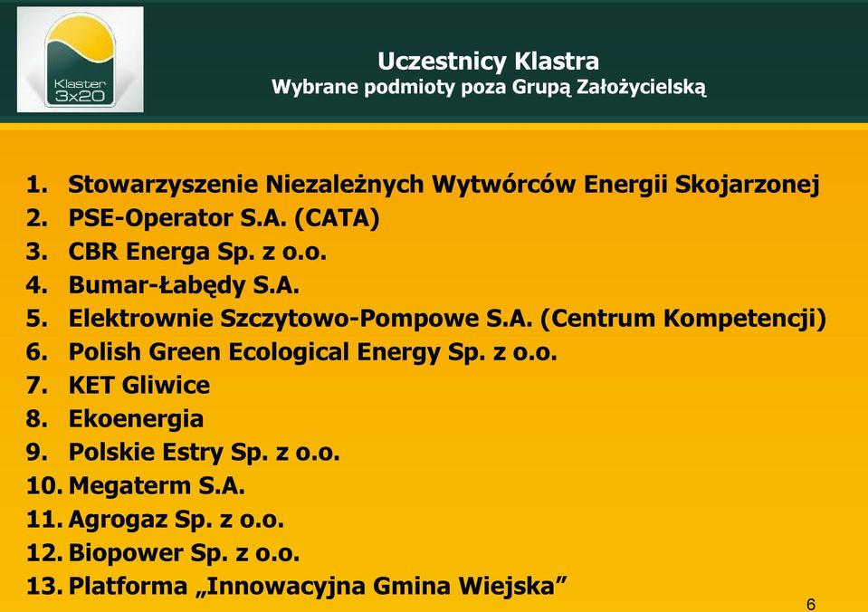 Bumar-Łabędy S.A. 5. Elektrownie Szczytowo-Pompowe S.A. (Centrum Kompetencji) 6. Polish Green Ecological Energy Sp.