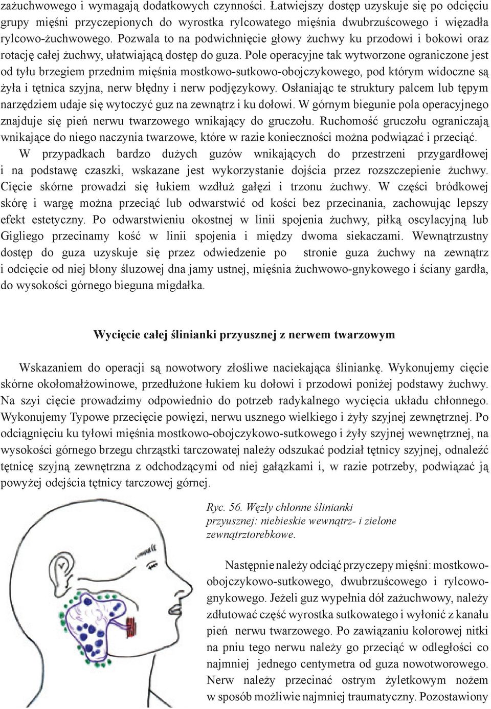 Pole operacyjne tak wytworzone ograniczone jest od tyłu brzegiem przednim mięśnia mostkowo-sutkowo-obojczykowego, pod którym widoczne są żyła i tętnica szyjna, nerw błędny i nerw podjęzykowy.