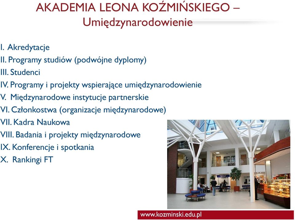 Programy i projekty wspierające umiędzynarodowienie V.