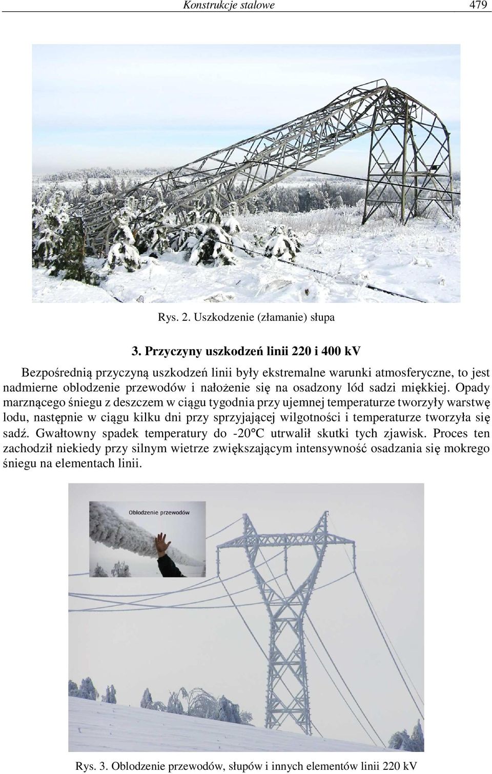 osadzony lód sadzi miękkiej.