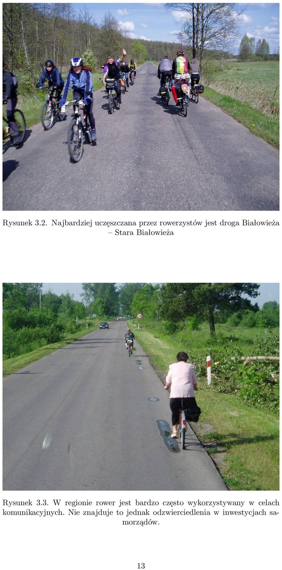 Stara Białowieża Rysunek 3.