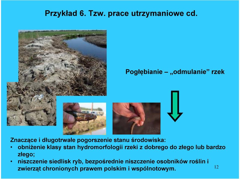 obniżenie klasy stan hydromorfologii rzeki z dobrego do złego lub bardzo złego;