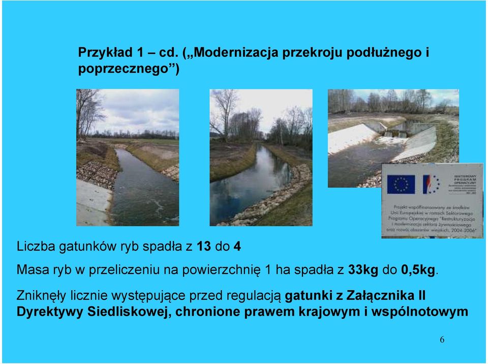 spadła z 13 do 4 Masa ryb w przeliczeniu na powierzchnię 1 ha spadła z 33kg