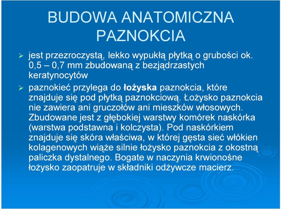 Łożysko paznokcia nie zawiera ani gruczołów ani mieszków włosowych.