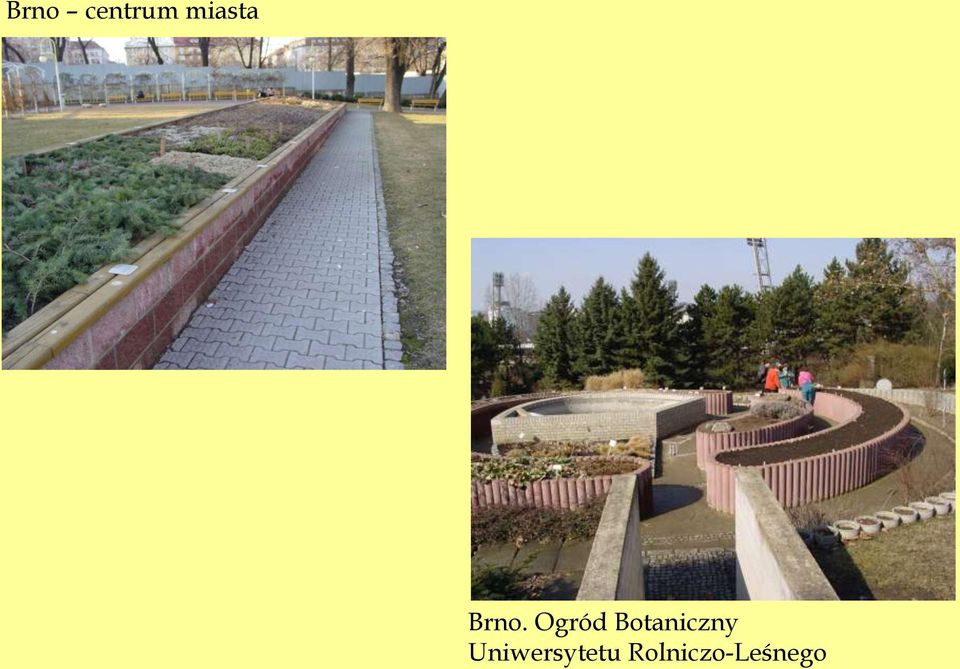 Ogród Botaniczny