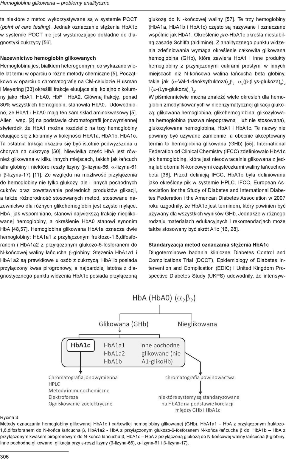 Nazewnictwo hemoglobin glikowanych Hemoglobina jest białkiem heterogennym, co wykazano wiele lat temu w oparciu o różne metody chemiczne [5].