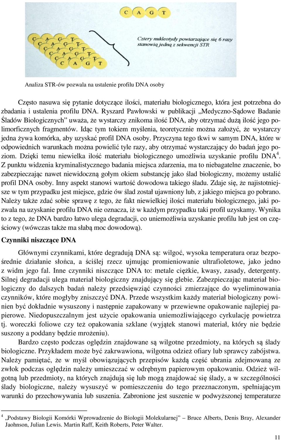 Idąc tym tokiem myślenia, teoretycznie można założyć, że wystarczy jedna żywa komórka, aby uzyskać profil DNA osoby.