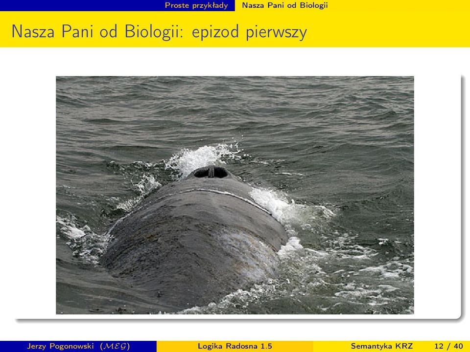pierwszy Jerzy Pogonowski (MEG)