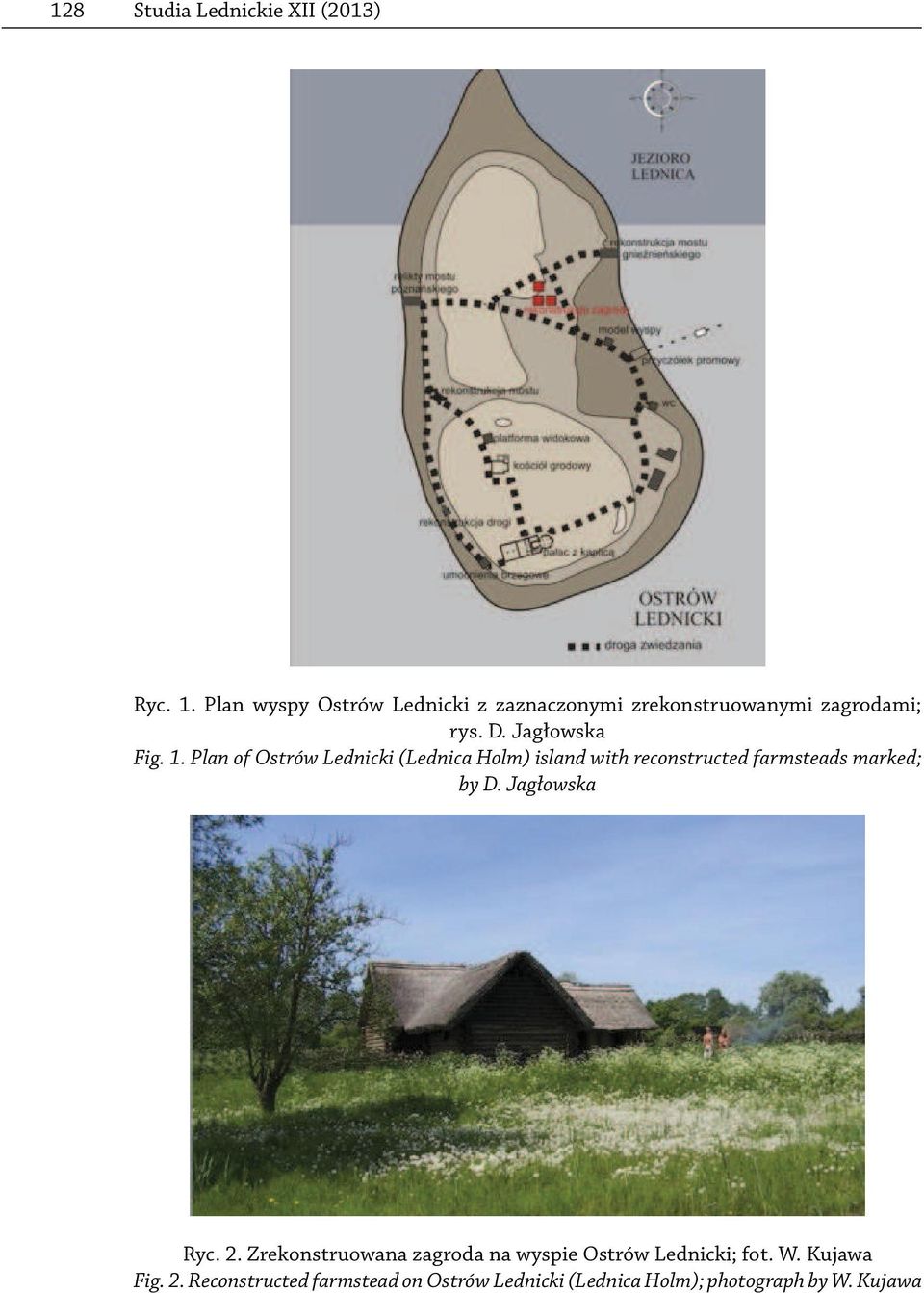 Plan of Ostrów Lednicki (Lednica Holm) island with reconstructed farmsteads marked; by D.