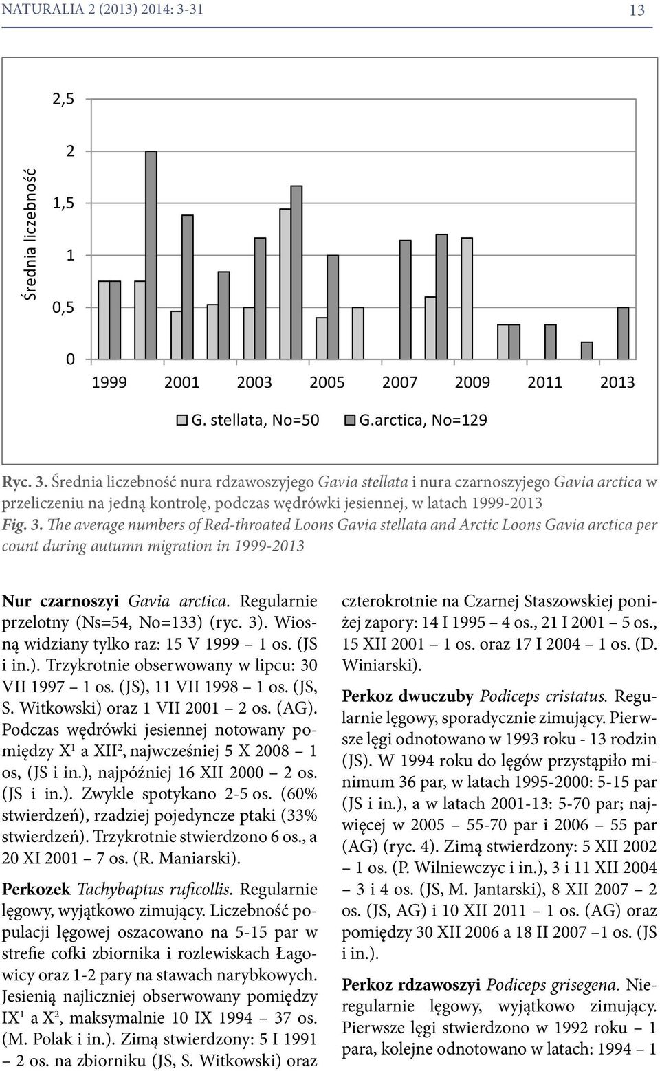 Średnia liczebność nura rdzawoszyjego Gavia stellata i nura czarnoszyjego Gavia arctica w przeliczeniu na jedną kontrolę, podczas wędrówki jesiennej, w latach 1999-2013 Fig. 3.