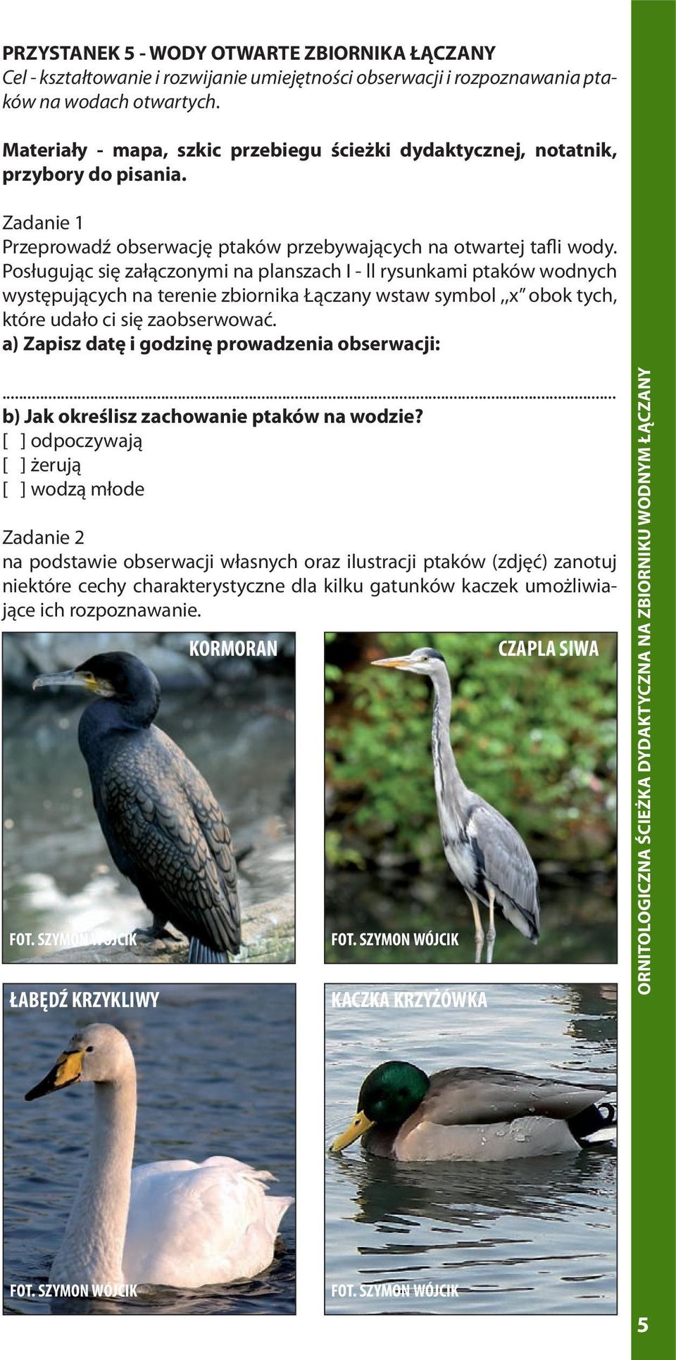 Posługując się załączonymi na planszach I - ll rysunkami ptaków wodnych występujących na terenie zbiornika Łączany wstaw symbol,,x obok tych, które udało ci się zaobserwować.