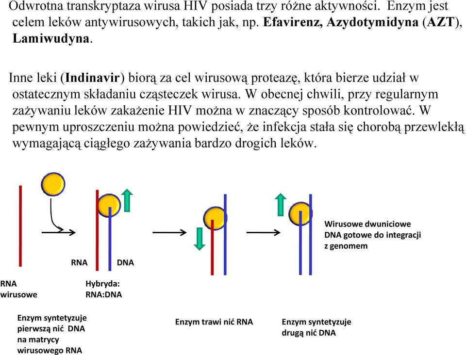 W obecnej chwili, przy regularnym zażywaniu leków zakażenie HIV można w znaczący sposób kontrolować.
