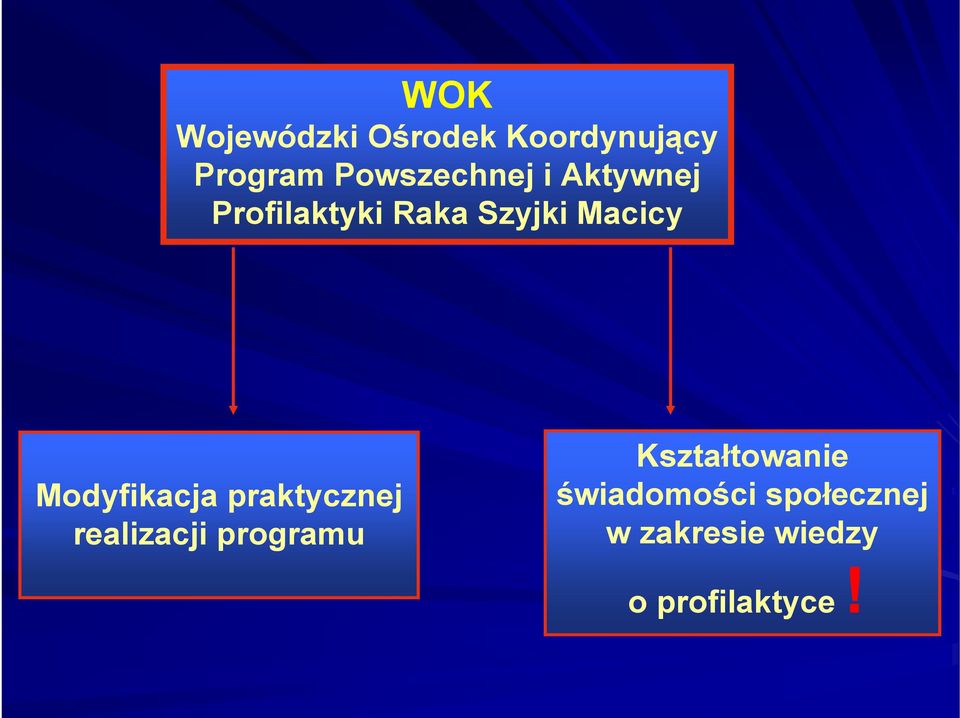 Macicy Modyfikacja praktycznej realizacji programu