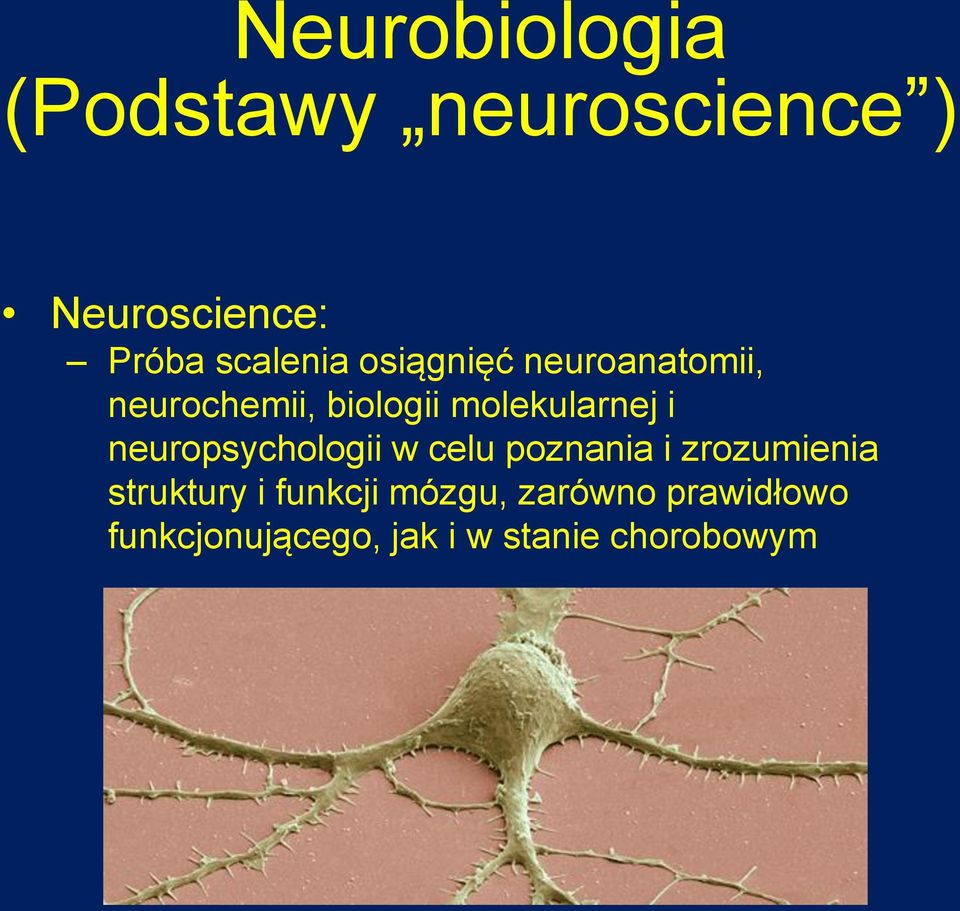 molekularnej i neuropsychologii w celu poznania i zrozumienia